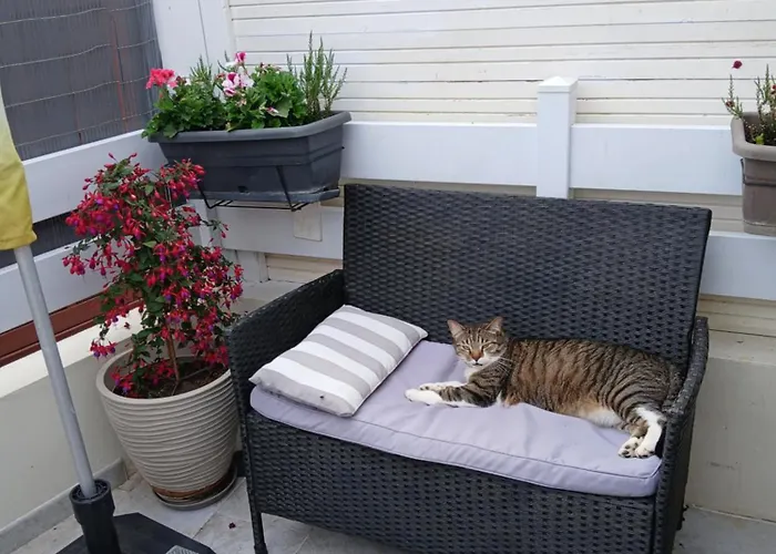 Séjour chez l'habitant Nid Cosy  Charme Et Détente Chez Fred Gorron