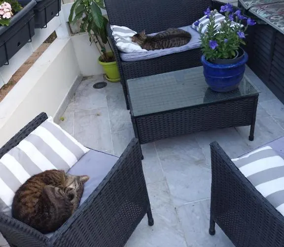 Nid Cosy  Charme Et Détente Chez Fred * Gorron